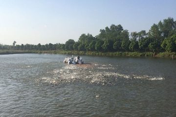 ベトナム　魚の養殖